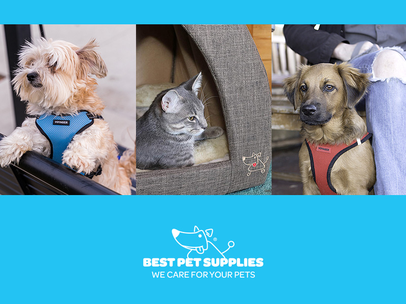 Best Pet Supplies エチケット袋・ペット用テント・小型犬用ハーネス
